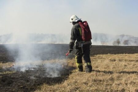 5 Fire Pit Safety Tips from A Former Wildland Firefighter Image